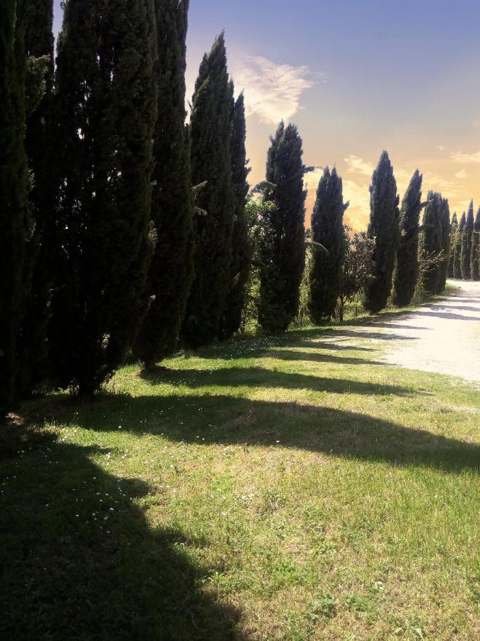 Villa Podere Cartaio Bio Estate Pool Airc San Rocco a Pilli Exterior photo